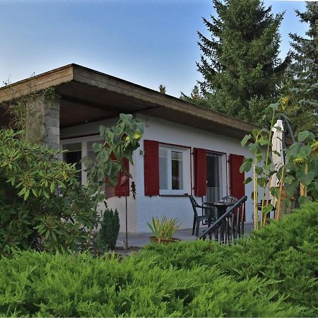 Cozy Holiday Home In G Ntersberge With Garden Güntersberge Εξωτερικό φωτογραφία