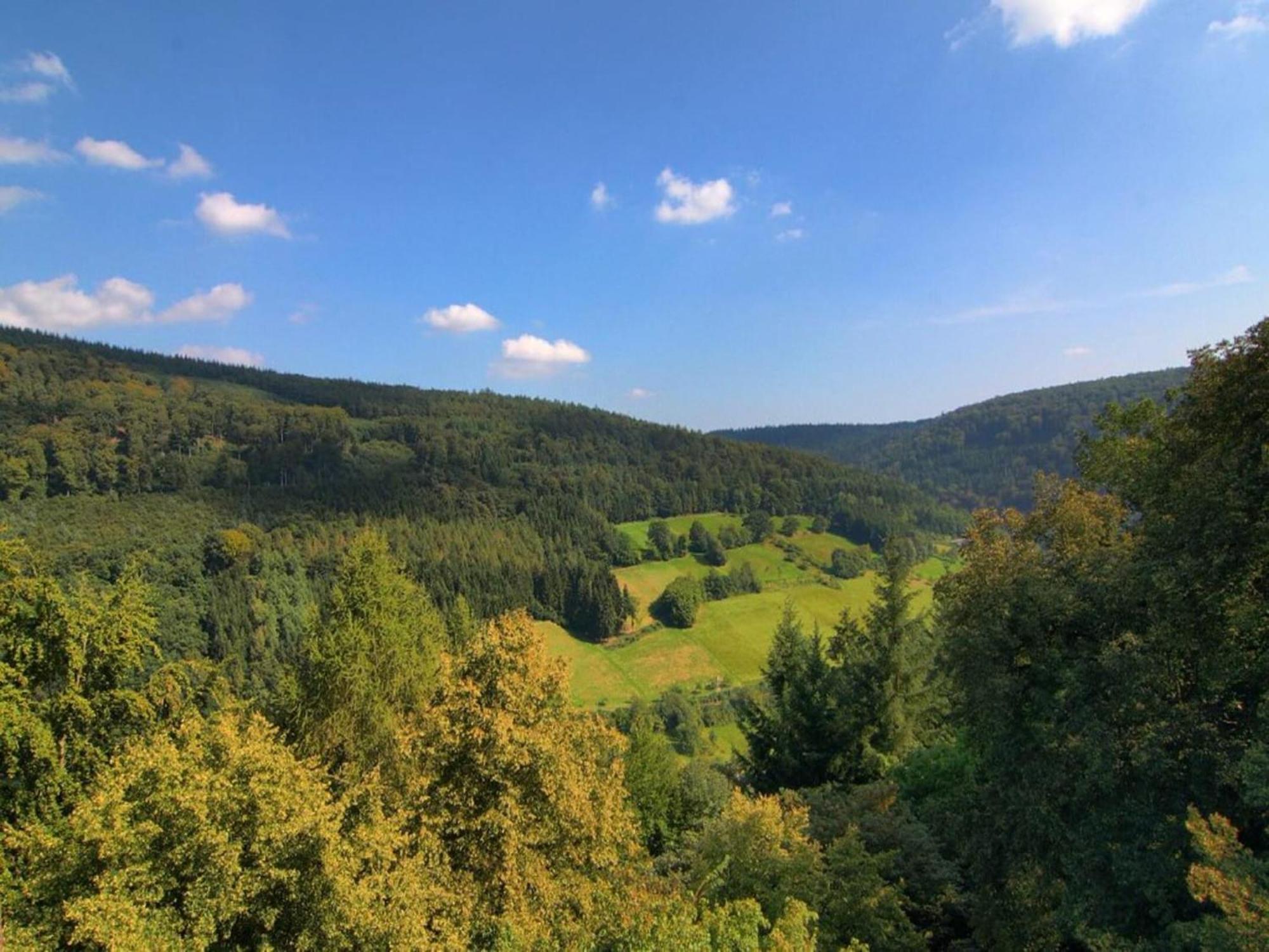 Cozy Holiday Home In G Ntersberge With Garden Güntersberge Εξωτερικό φωτογραφία